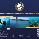 Carte cadeau prix libre