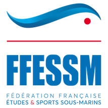 Licence adulte FFESSM