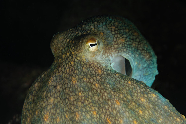 Copie de _DSC3477_DxO