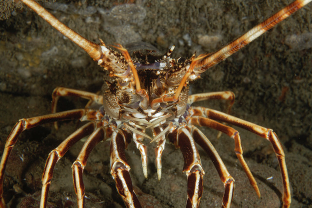 Copie de _DSC4062_DxO