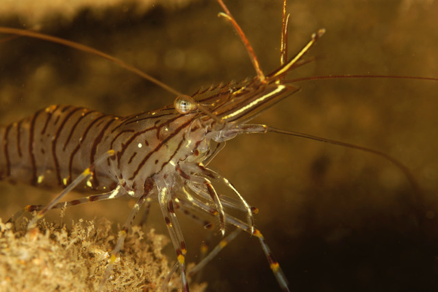 Copie de _DSC6554_DxO